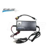 CARGADOR DE BATERÍAS DE IONES DE LITIO MULTIVOLTAJE STARLANE