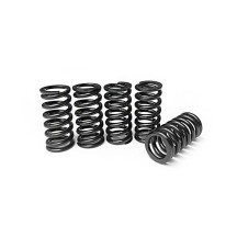 MUELLES DE EMBRAGUE MOTORES NEWFREN DERBI 50