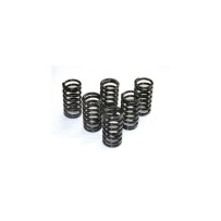KIT DE MUELLES DE EMBRAGUE PINTADOS DUCABIKE DUCATI 749 / 999