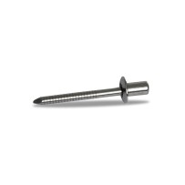 RIVETTO INOX DE REPUESTO DE REPUESTO DIÁMETRO DE MIVV 4.7 MM DE LONGITUD 12 MM DE PLATA