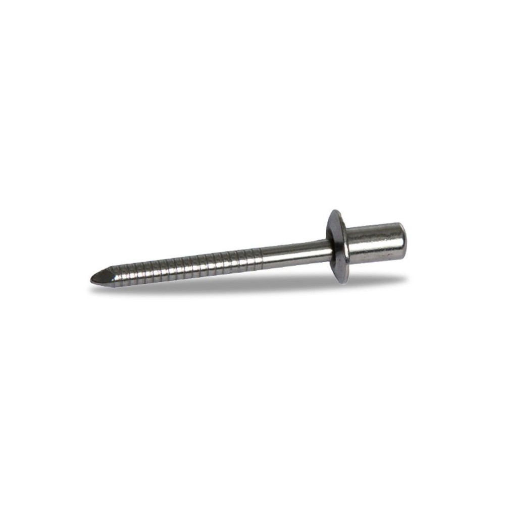 RIVETTO INOX DE REPUESTO DE REPUESTO DIÁMETRO DE MIVV 4.7 MM DE LONGITUD 12 MM DE PLATA RIVETTO INOX DE REPUESTO DE REPUESTO DIÁMETRO DE MIVV 4.7 MM DE LONGITUD 12 MM DE PLATA