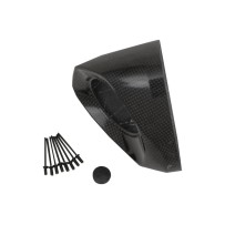 TAPÓN CARBONO TERMINAL AKRAPOVIC