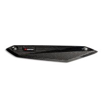 ESCUDO TÉRMICO DE CARBONO AKRAPOVIC BMW F 900 R / XR 2020-2021