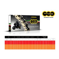 CADENA REGINA 135ZRT PASO 520 BMW G 310 R 16+