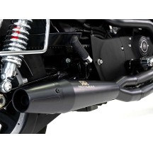 ESCAPE COMPLETO NEGRO 2:1 RED THUNDER HARLEY DAVIDSON SPORTSTER 2004-2020