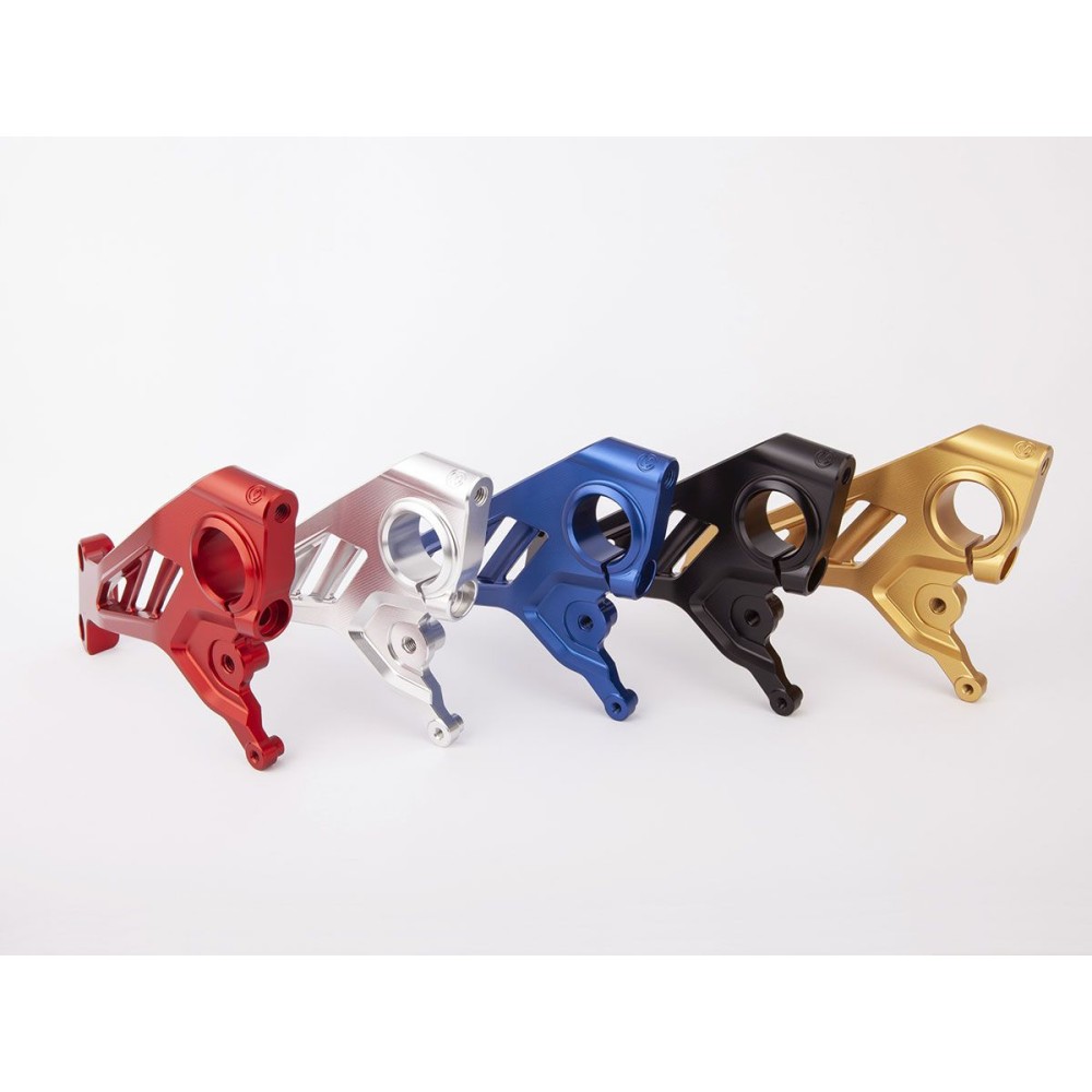KIT PLACAS LATERALES MOTOCORSE DUCATI STREETFIGHTER V4 2019-2022
