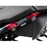 PLACA DE TAPA DEL ORIFICIO DEL ESTRIBERA TRASERA R&G  KAWASAKI NINJA 250 2018-2020