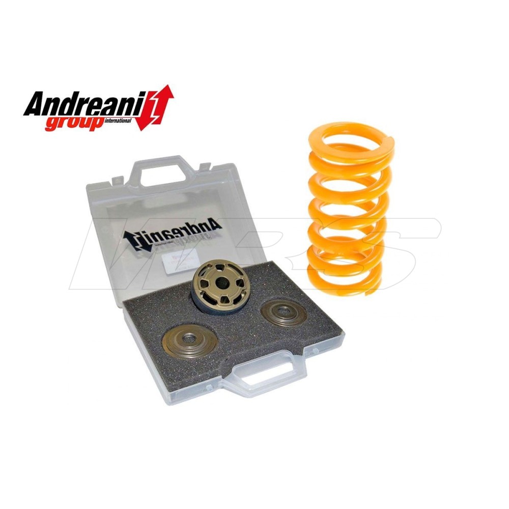 KIT DE MODIFICACIÓN DE AMORTIGUADOR ANDREANI OEM MOTO MORINI CORSARO 2014