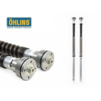CARTUCHO DE HORQUILLA DE OHLINS NIX30 TRIUMPH DAYTONA 660 2024-2025