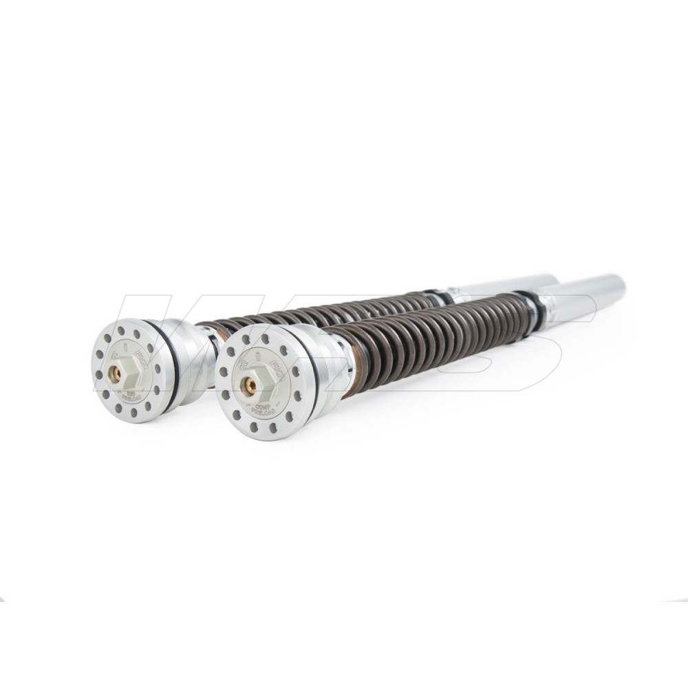 KIT DE CARTUCHO DE HORQUILLA DE 25 MM DE OHLINS TTX DE 25 MM DUCATI PANIGALE V4 2025 (SHOWA)