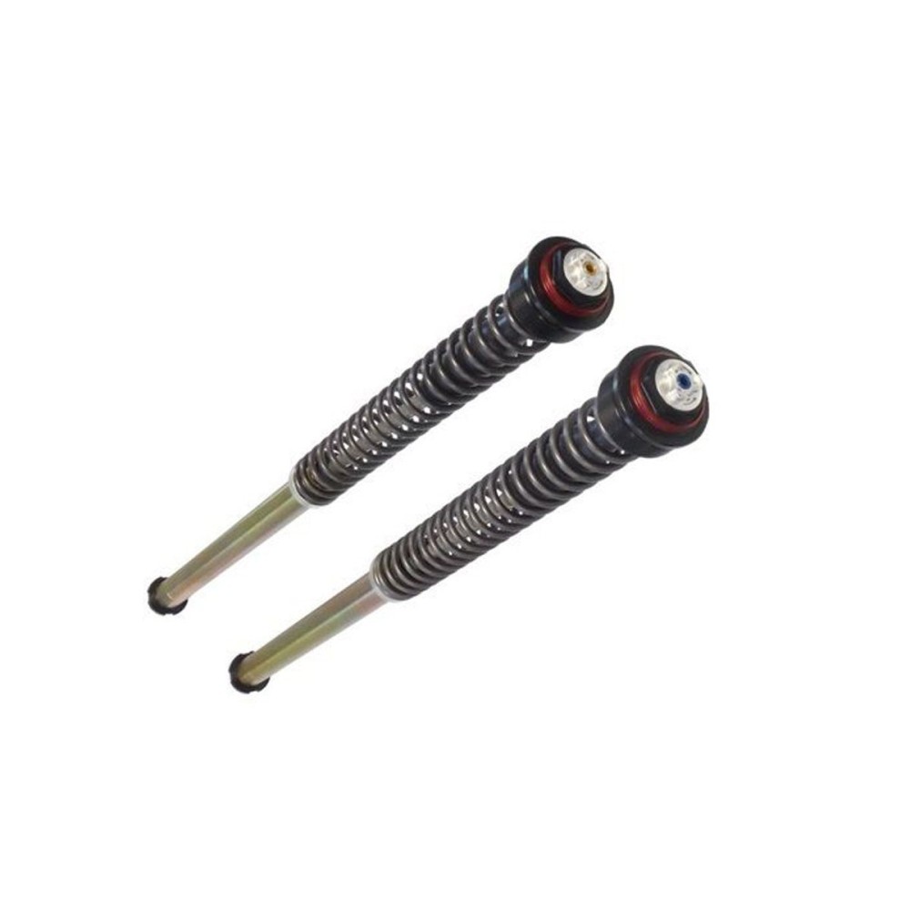 H0165JBH01V1WO CARTUCHO PRESURIZADO DOS TUBOS HONDA CB 750 HORNET 2023 H0165JBH01V1WO CARTUCHO PRESURIZADO DOS TUBOS HONDA CB 750 HORNET 2023