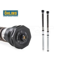 CARTUCHO DE HORQUILLA OHLINS NIX30 APRILIA TUAREG 660 RALLY 2025