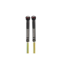 PAR DE CARTUCHOS PRESURIZADOS DE DOBLE TUBO APRILIA TUAREG 660 2021-2023