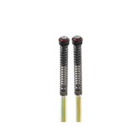 PAR DE CARTUCHOS PRESURIZADOS DE DOBLE TUBO APRILIA TUAREG 660 2021-2023