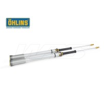 CARTUCHO HORQUILLA OHLINS TTX 22 BETA RR 250/300 2T RACING 2018-2019