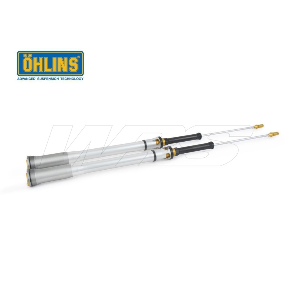 CARTUCHO HORQUILLA OHLINS TTX 22 BETA RR 250/300 2T RACING 2018-2019