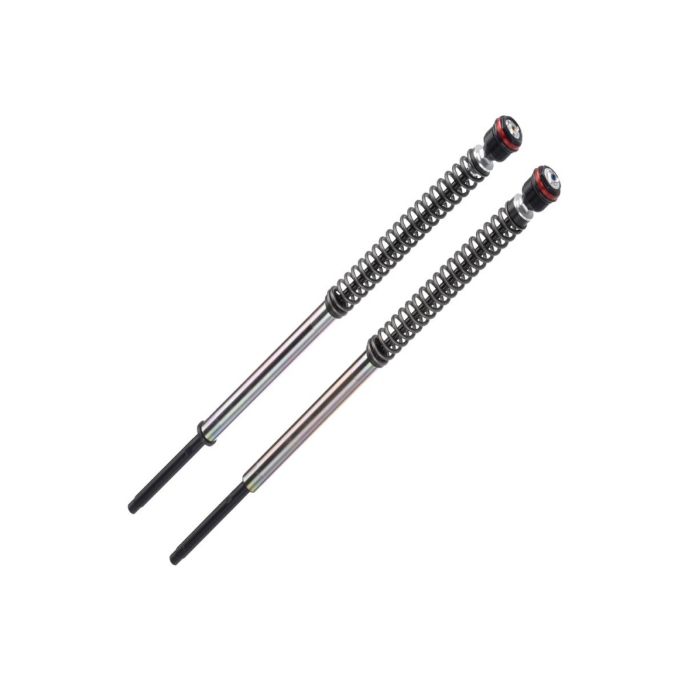 IN002JBH01V1WO CARTUCHO PRESURIZADO DOBLE TUBO INDIAN FTR 1200 S 2019-2021