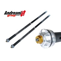 KIT DE CARTUCHO DE HORQUILLA ANDREANI EVOLUTION SUZUKI GSX-R 1000 2009-2011