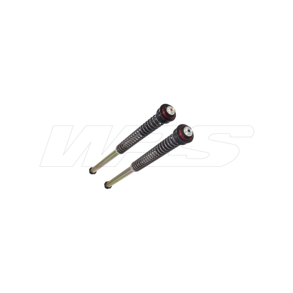 S0096JBH01V1WO CARTUCHO HORQUILLA BITUBO SUZUKI GSX-S 1000 KATANA 2019-2020