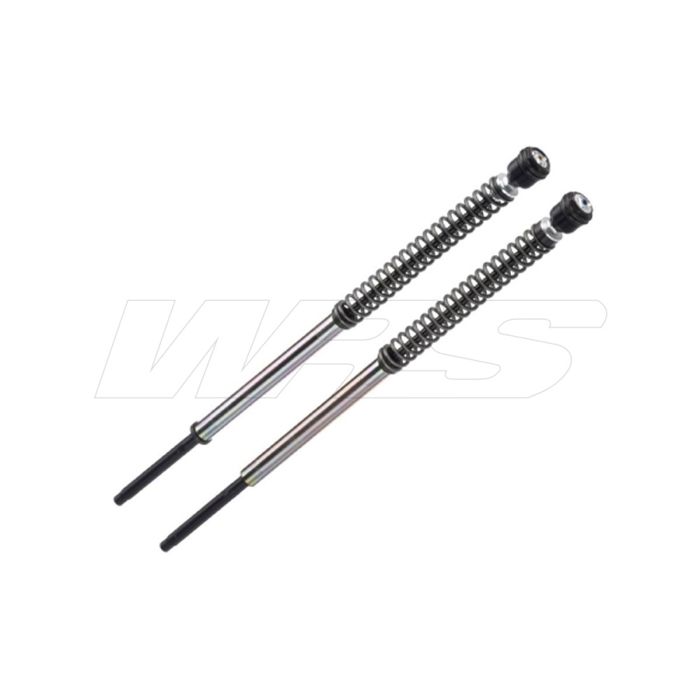 CARTUCHO HORQUILLA T0034JBH12WO BITUBO TRIUMPH SPEED TWIN 1200 2019-2020