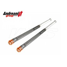 KIT CARTUCHO HIDRÁULICO ANDREANI KTM SX 50