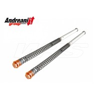 KIT CARTUCHO HIDRÁULICO ANDREANI KTM SX 50