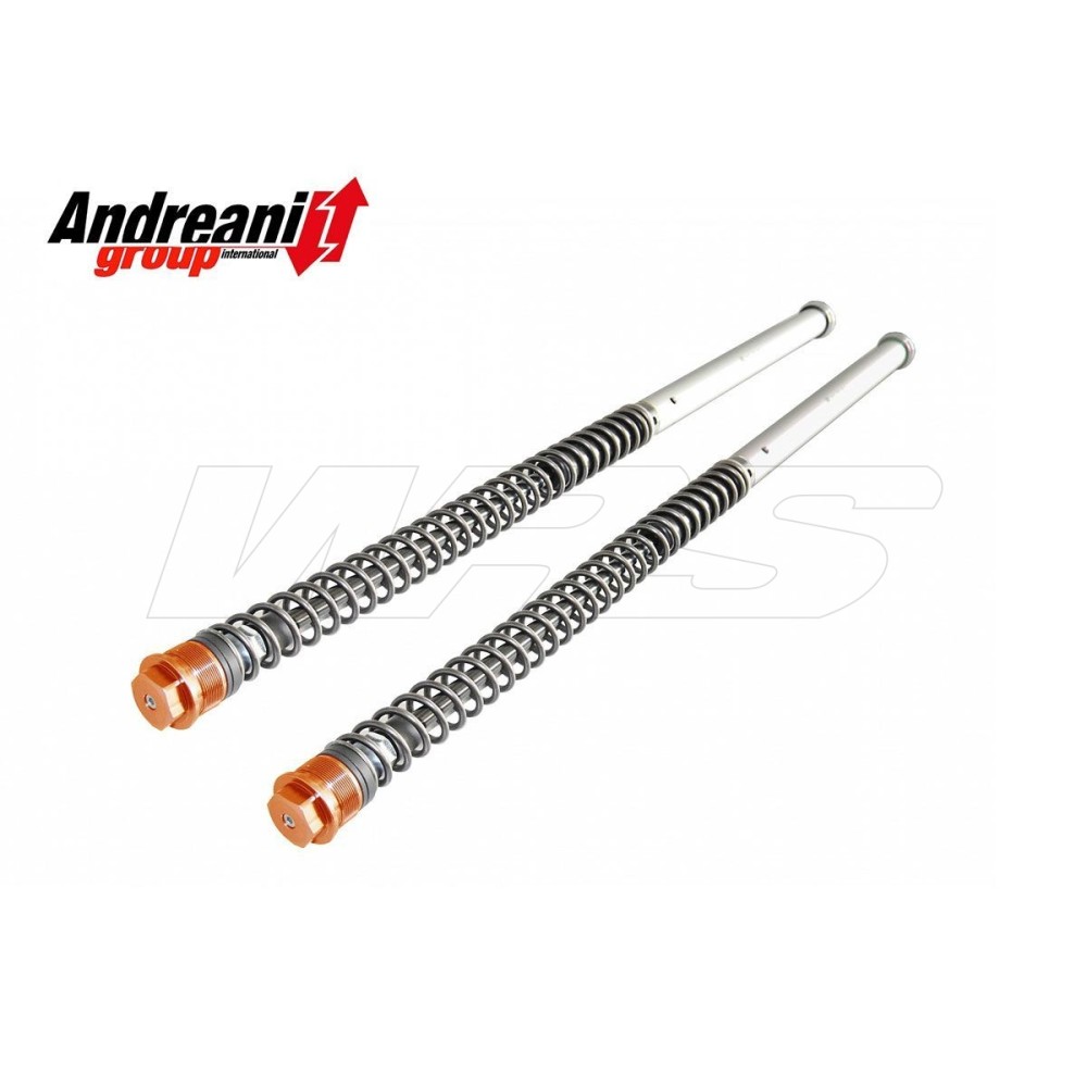 KIT CARTUCHO HIDRÁULICO ANDREANI KTM SX 50