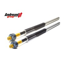 KIT CARTUCHO HORQUILLA ANDREANI HARLEY DAVIDSON V-ROD NIGHTROD