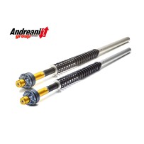 KIT CARTUCHO HORQUILLA ANDREANI HARLEY DAVIDSON V-ROD 2003-2012