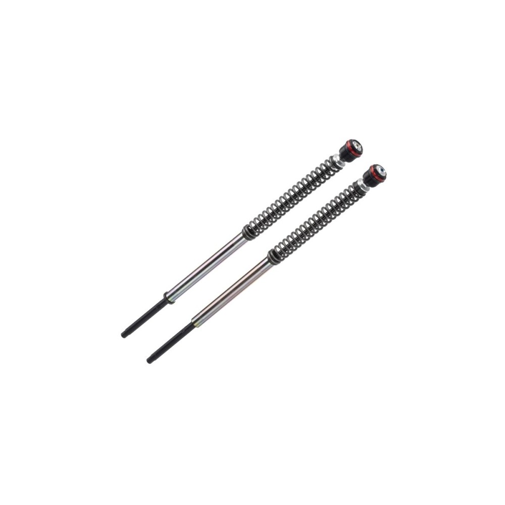 K0101JBH01WO CARTUCHO PRESURIZADO DOBLE TUBO KAWASAKI ER-6N 650 ABS 2012-2016 K0101JBH01WO CARTUCHO PRESURIZADO DOBLE TUBO KAWASAKI ER-6N 650 ABS 2012-2016