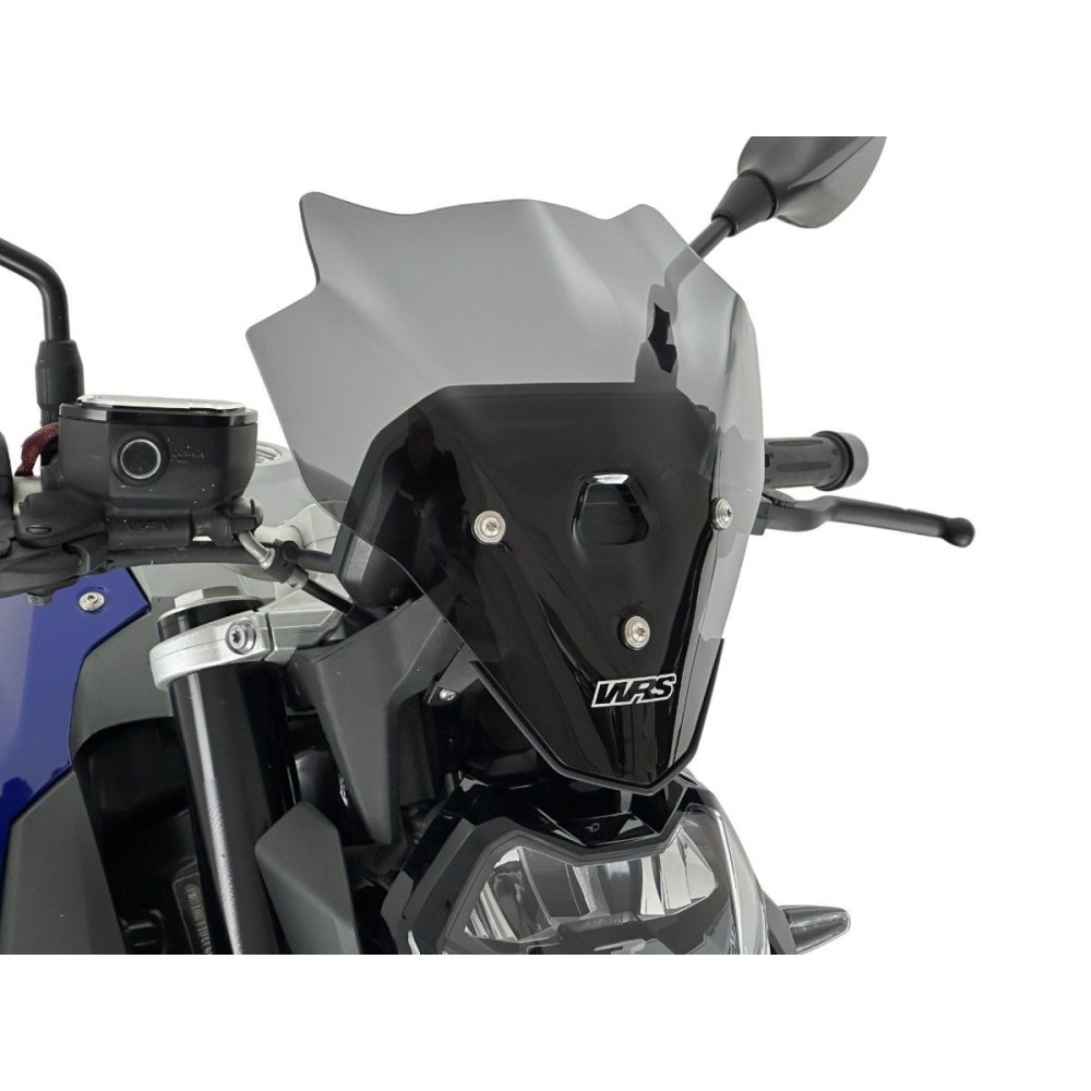 CUPOLINO TOURING COMIC 'DARK WRS BMW F 900 R 2018-2025
