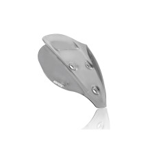 PANTALLA DEPORTIVA WRS HUMO OSCURO DUCATI STREETFIGHTER V4 / S 2020-2024
