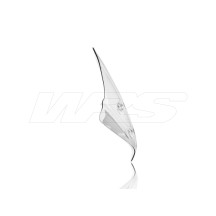 PANTALLA TRANSPARENTE WRS ESTÁNDAR BMW R 1250 R 2019-2024