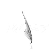 PANTALLA TRANSPARENTE TOURING WRS BMW R 1250 R 2019-2024