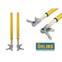 HORQUILLA UNIVERSAL OHLINS GOLD FGR253 790MM BAGGER/HOOLIGAN