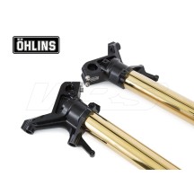 HORQUILLA R&T OHLINS NIX 43MM HONDA CRF 1100 L AFRICA TWIN / ADV SPORT 2020-2021