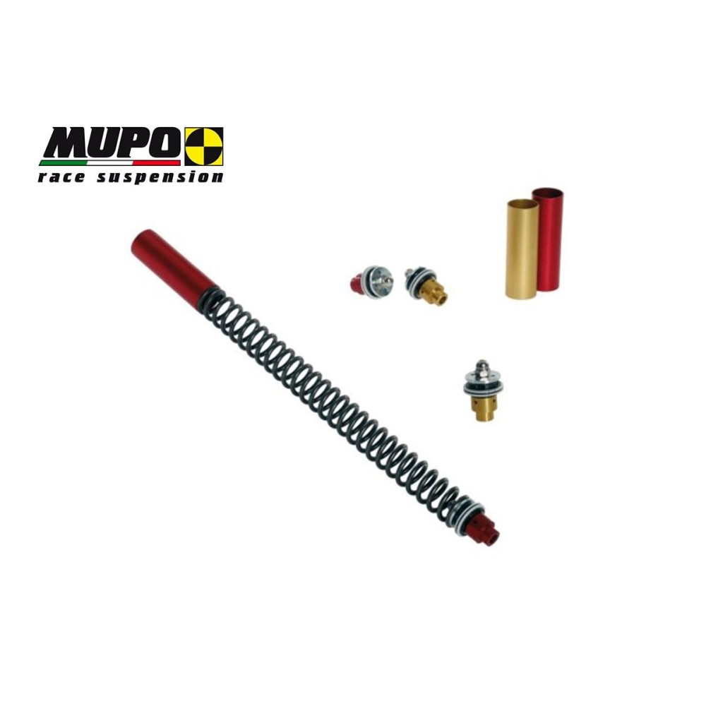 KIT HIDRÁULICO MUPO Y MUELLES MOTO GUZZI CALIFORNIA STONE 2001-2006 KIT HIDRÁULICO MUPO Y MUELLES MOTO GUZZI CALIFORNIA STONE 2001-2006