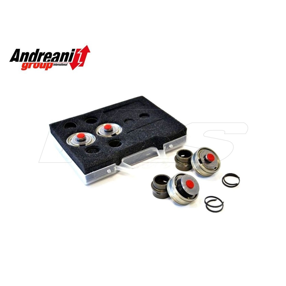 KIT PISTONES DE BOMBEO HORQUILLA SHOWA BFF SUZUKI GSX-R 1000 R 2017-2022 KIT PISTONES DE BOMBEO HORQUILLA SHOWA BFF SUZUKI GSX-R 1000 R 2017-2022
