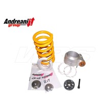 KIT REPUESTOS OEM AMORTIGUADOR OHLINS ANDREANI DUCATI 1098 2007