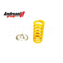 KIT MUELLES AMORTIGUADORES ANDREANI DUCATI MULTISTRADA V4 S 2022-2024
