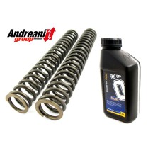 KIT MUELLE ACEITE HORQUILLA ANDREANI MOTO GUZZI GRISO 8V
