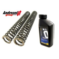KIT MUELLE ACEITE HORQUILLA ANDREANI MOTO GUZZI GRISO 8V