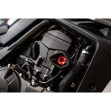 PROTECTORES DE MARCO ACOLCHADOS EVOTECH HONDA CB 750 HORNET 2023-2024