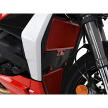 GRID DE RADIADOR R&G DUCATI STREETFIGHTER V2 2022-2024