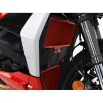 GRID DE RADIADOR R&G DUCATI STREETFIGHTER V2 2022-2024