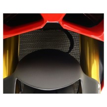 PROTECCIÓN DEL ENFRIADOR DE AGUA DE TITANIO MOTOCORSE DUCATI PANIGALE V4 S CORSE 2019