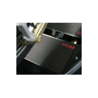 PROTECTOR DEL ENFRIADOR DE ACEITE DE TITANIO BMW S 1000 RR MOTOCORSE