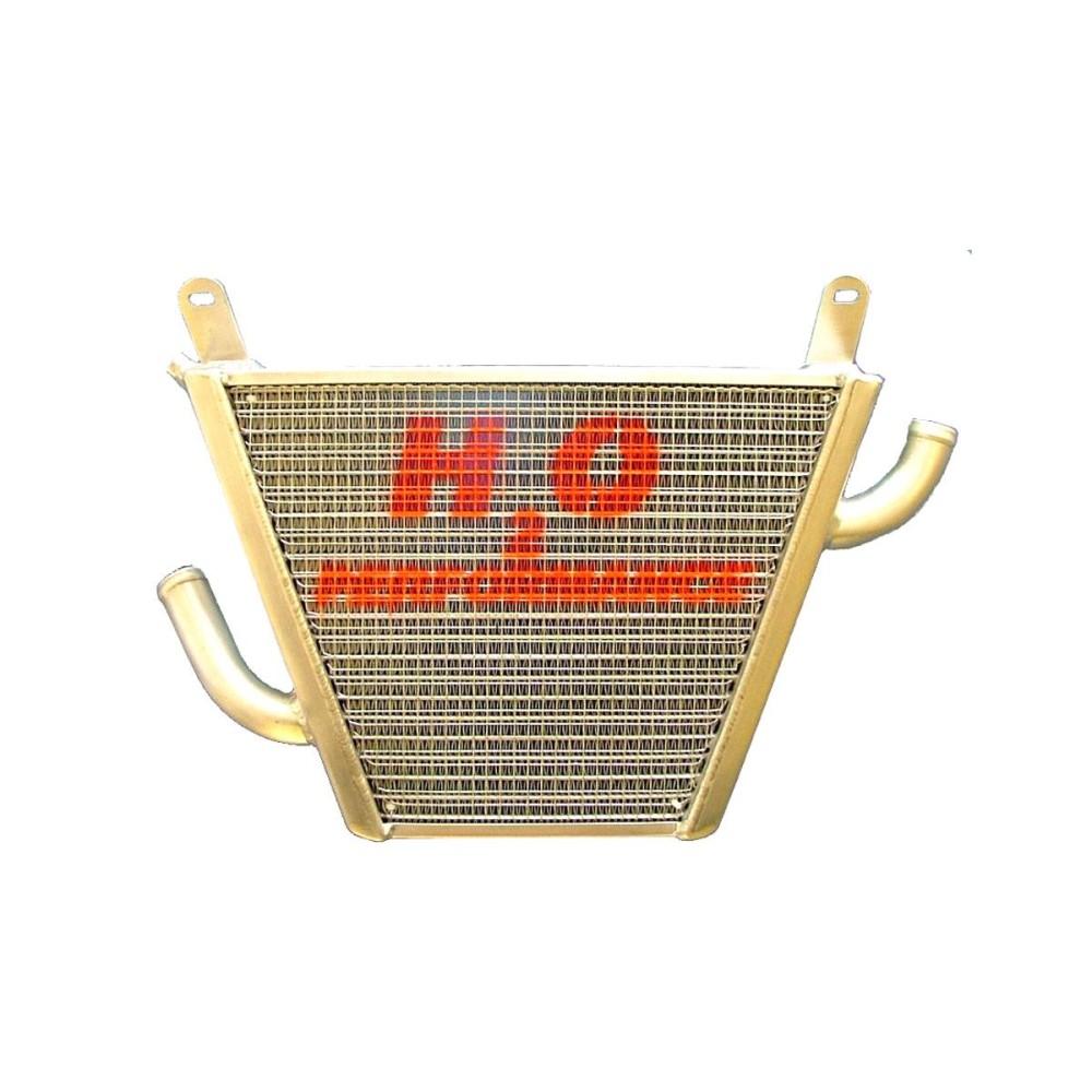 RADIADOR DE AGUA ADICIONAL "TROFEO" H2O PERFORMANCE HONDA HORNET