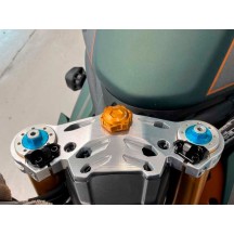 PLACA DE DIRECCIÓN SUPERIOR EVOTECH TRIUMPH SPEED TRIPLE 1200 RS 2021-2024