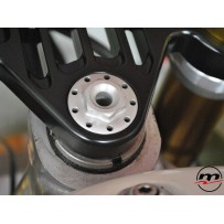 TUERCA DE SEGURIDAD DE LA PLACA DE DIRECCIÓN MELOTTI APRILIA RS 125